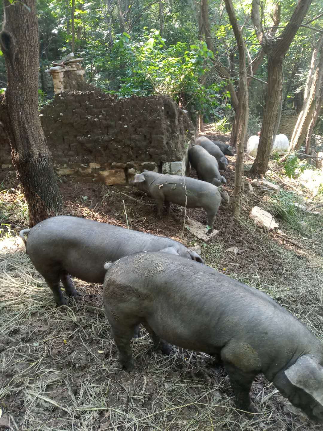 微信图片_20200902180006.jpg