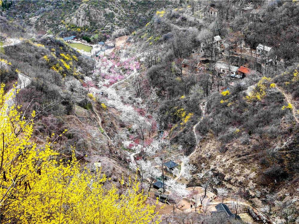 01.jpg