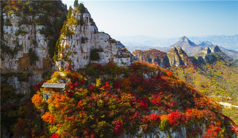 红叶 (2).jpg