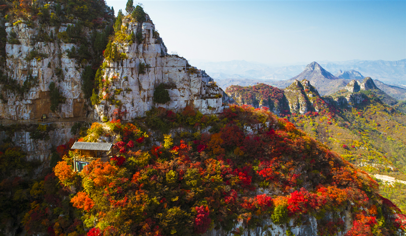 红叶 (2).jpg 红叶 (2).jpg