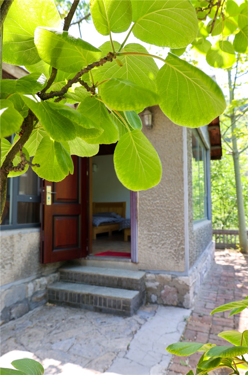 IMGL00380120220505.jpg