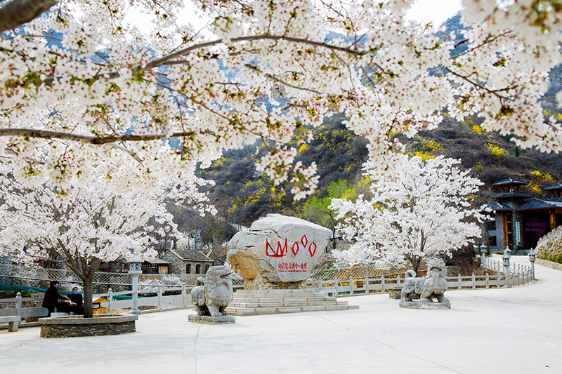 AD9A7725_看图王.jpg AD9A7725_看图王.jpg