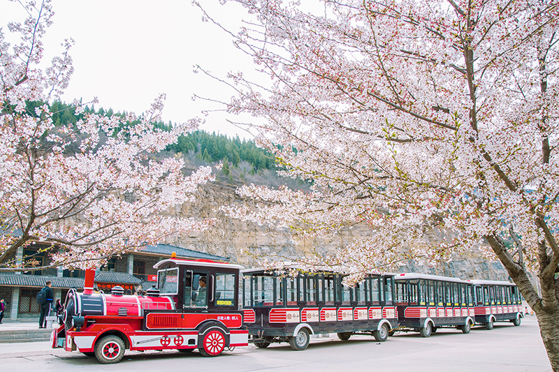 AD9A7697-调粉调_看图王.jpg AD9A7697-调粉调_看图王.jpg