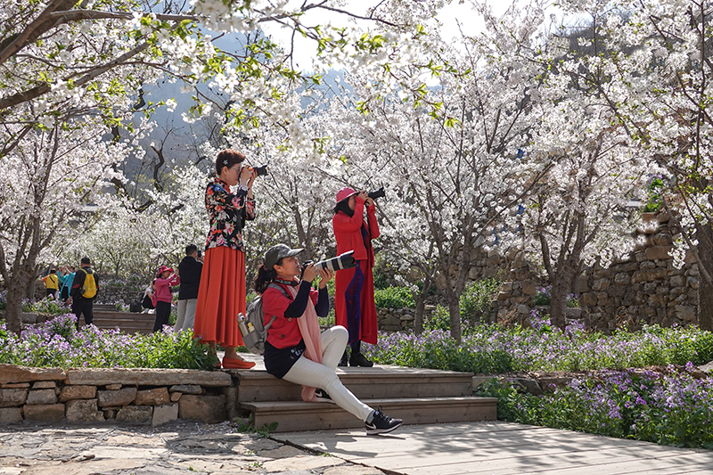 DSC04677v_看图王.jpg DSC04677v_看图王.jpg