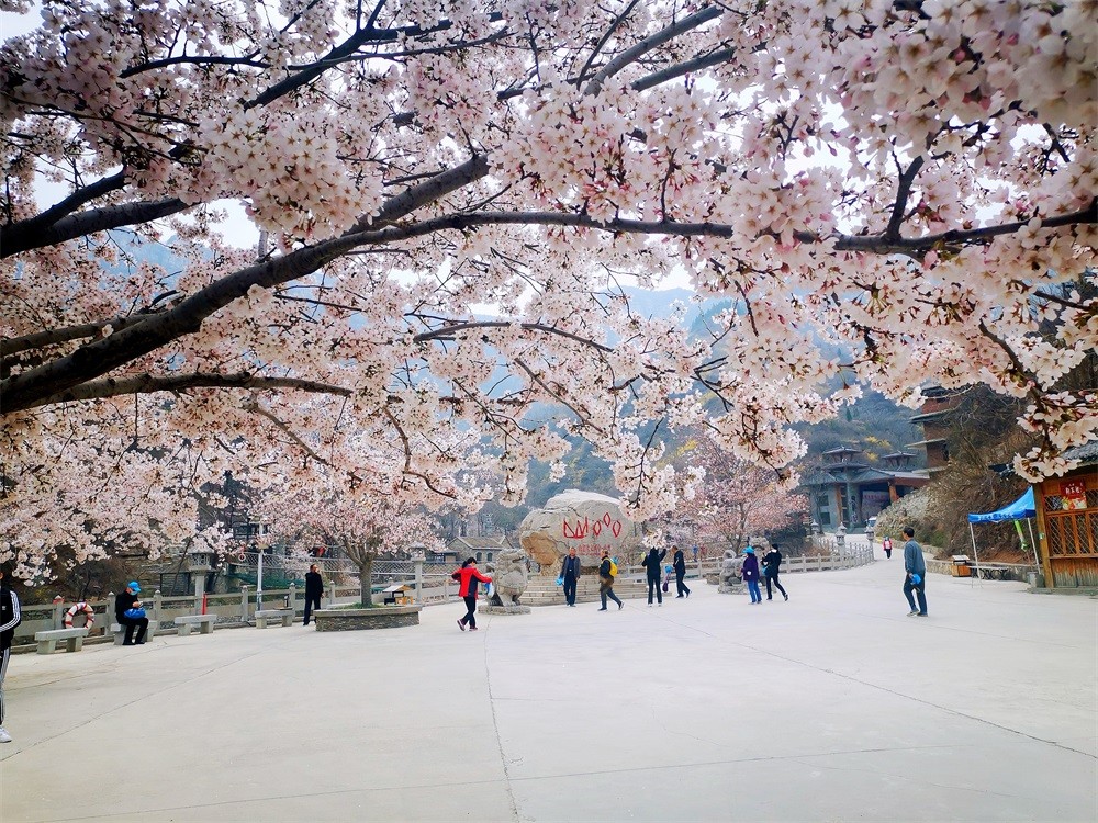 微信图片_20210326115838.jpg