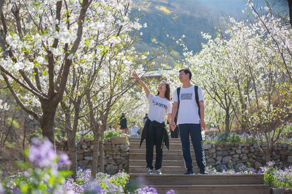 焦学�?13969347347+爱在齐山 (4).jpg