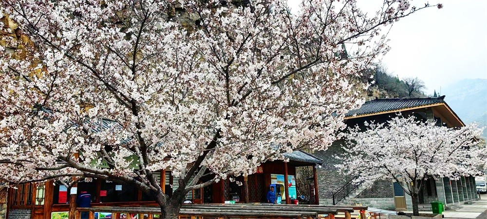 游客中心广场 (8).jpg
