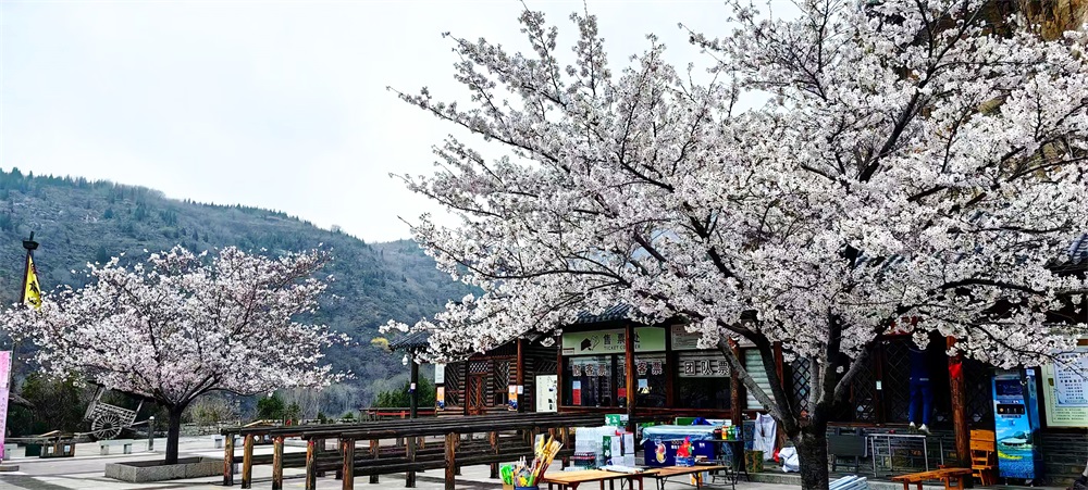 游客中心广场 (2).jpg