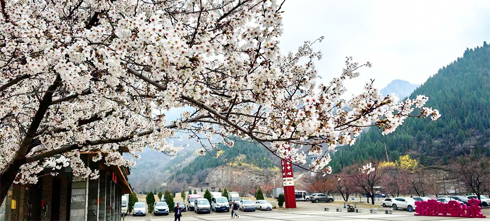 游客中心广场 (12).jpg