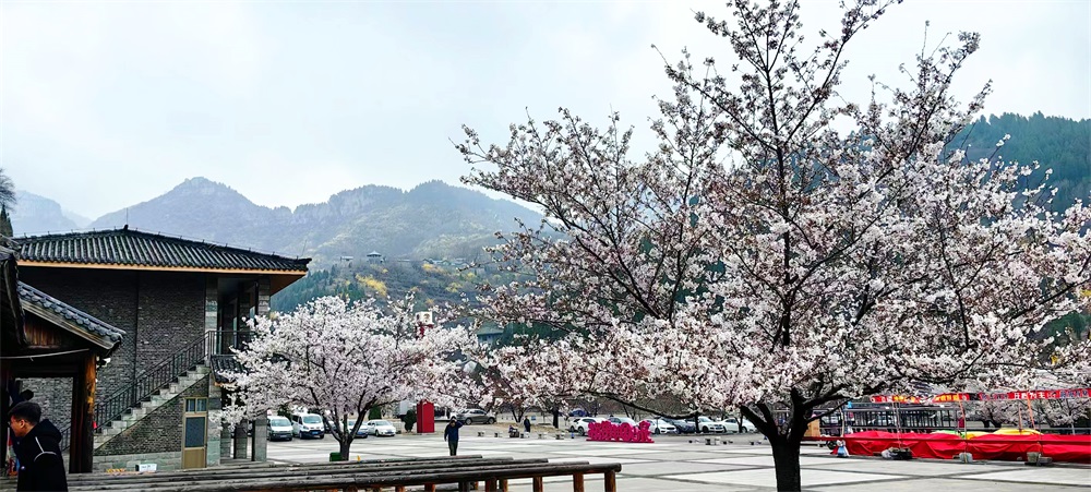 游客中心广场 (1).jpg