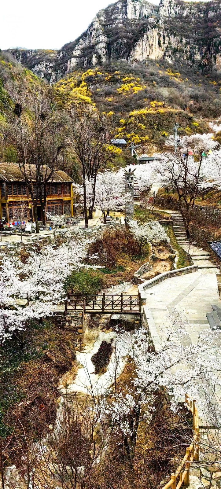 齐民部落 (2).jpg