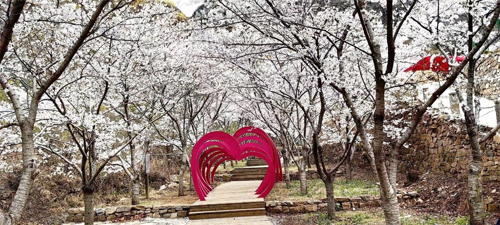 樱花长廊 (2).jpg