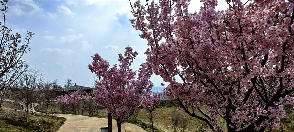 山顶 (12).jpg