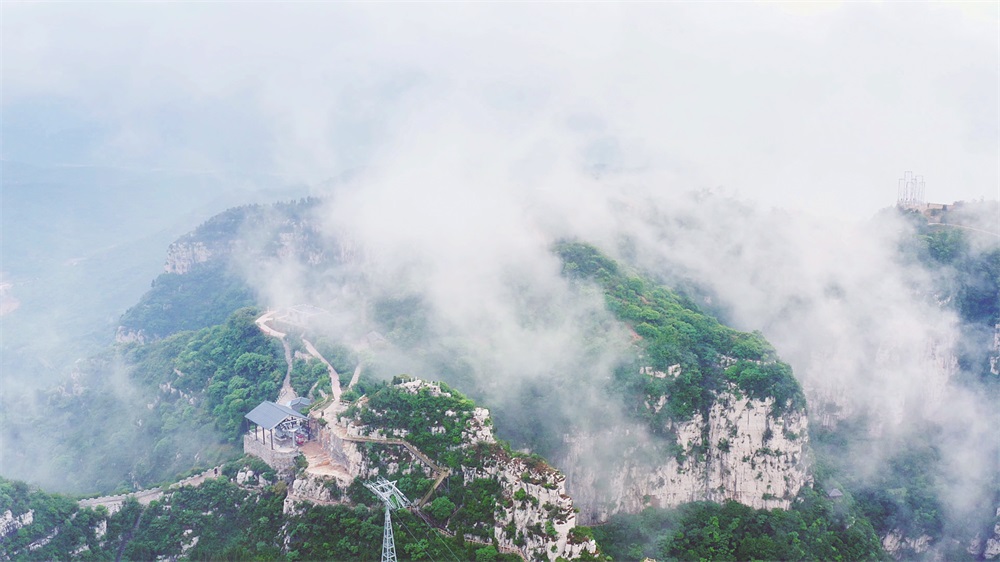 四绝 (1).jpg