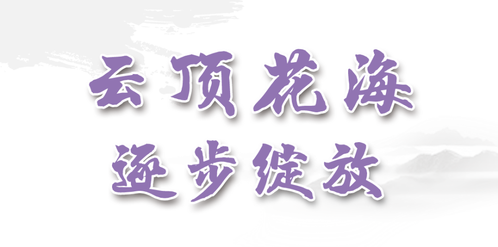 1 (1).png 1 (1).png